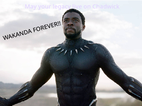 Black Panther Tribute