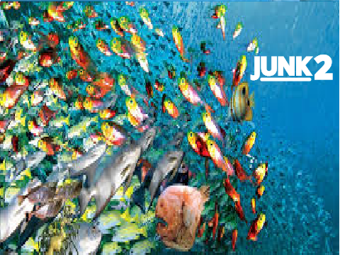 Junk 2.2