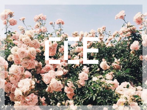 ♥ I'm not Famous - CCE ♥