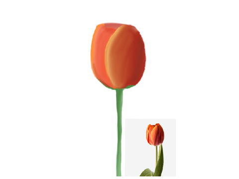 Drawing of a tulip