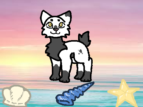 Seagullstar ~ Beachclan