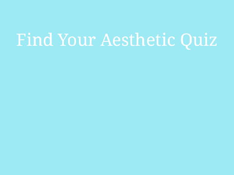 « Find Your Aesthetic Quiz »