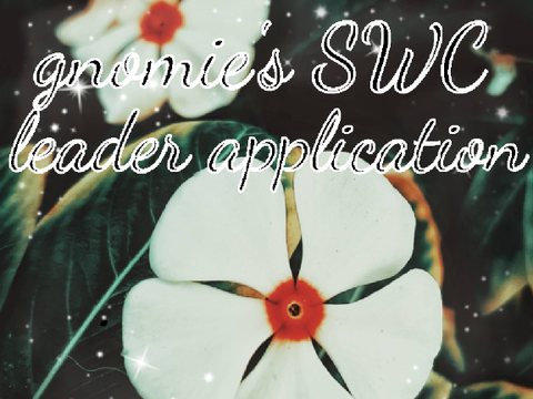 ✈️ gnomie's swc leader application