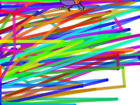 drawing beetle