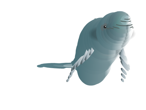 Zombie Beluga