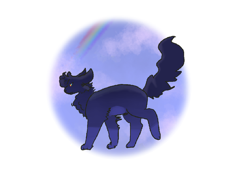 Rainbow Chaser