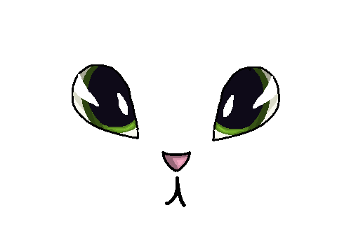 Blinking animation 