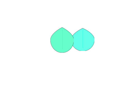 peppermint and mint difference
