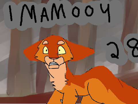 IMAMOOY II 28