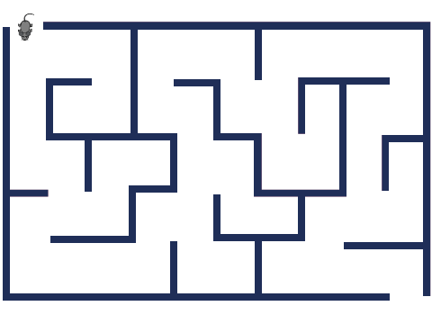 Project 10 Maze Escape (Background)
