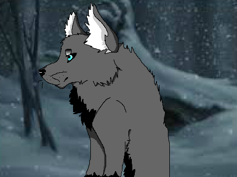 Chris OC