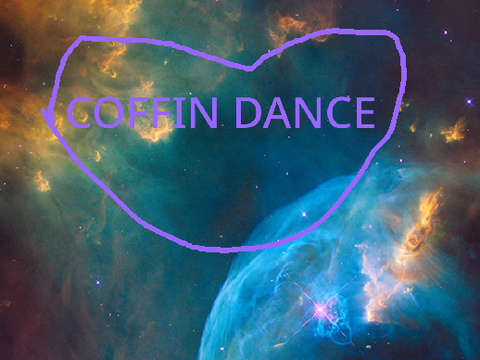 coffin dance