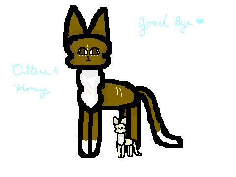 Goodbye Everyone This Will Be My Last Post...