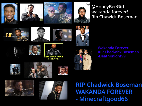 Remix and sign For Chadwick Boseman. remix remix
