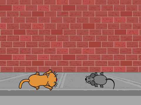 Mouse Catcher 1 貓捉老鼠1