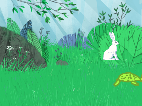 rabbit and tortoise race
