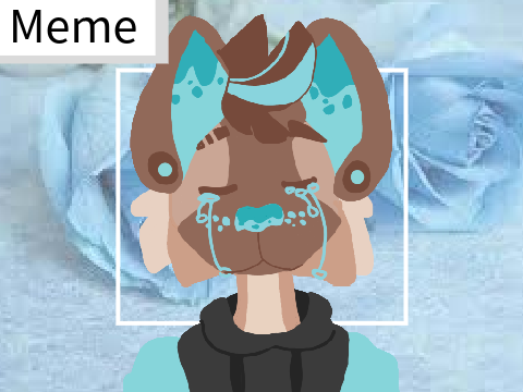 bummerland ☆ ori meme collab