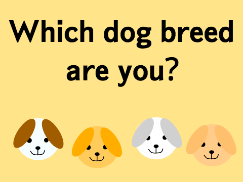 What dog breed are you?
