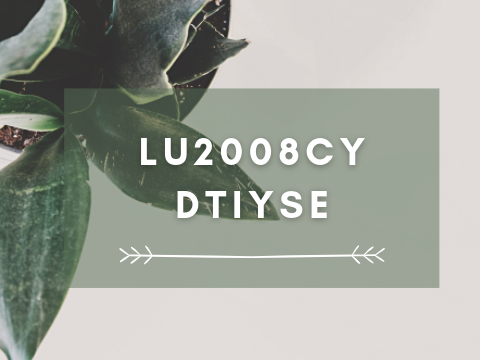 (✰) 1.1K DTIYSe
