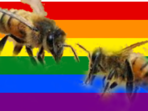 All of the gay animals (and other things lol) 