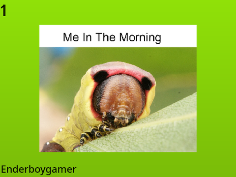 added a too many memes