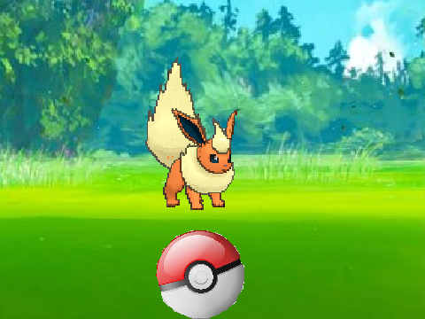 Pokémon GO || TEST (capture)