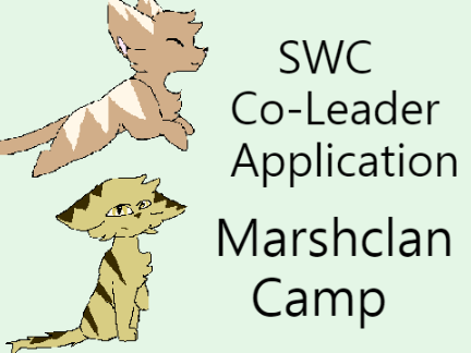 SWC Co-Leader Application (Nov. 2020)
