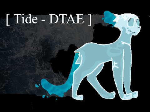 [ Tide - DTAE ]