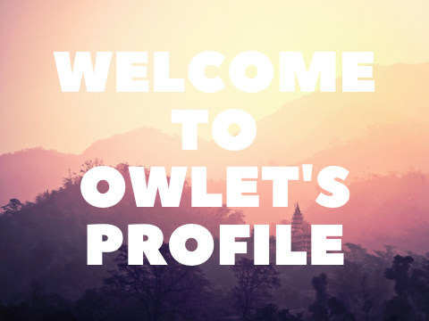 Banner for Owlet_Animations