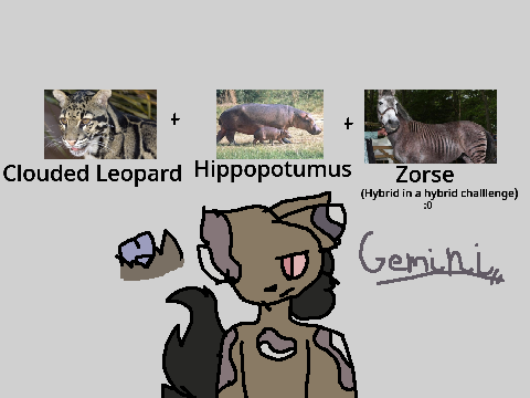 ⭐-Animal fusion challenge??