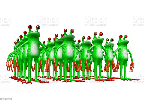 JOIN THE FROG ARMY!