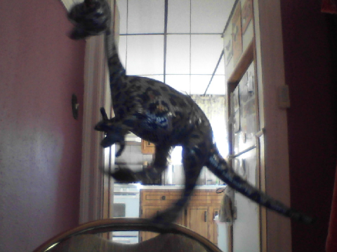 Deino the Dino
