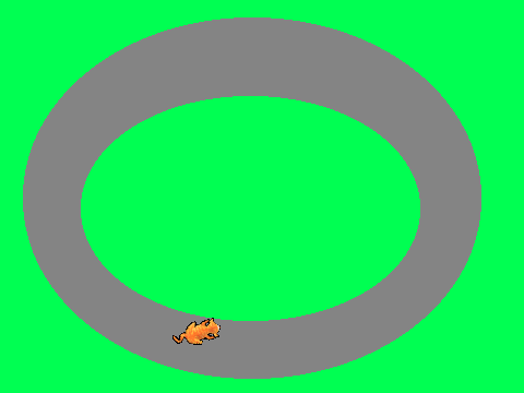 Cat on a track