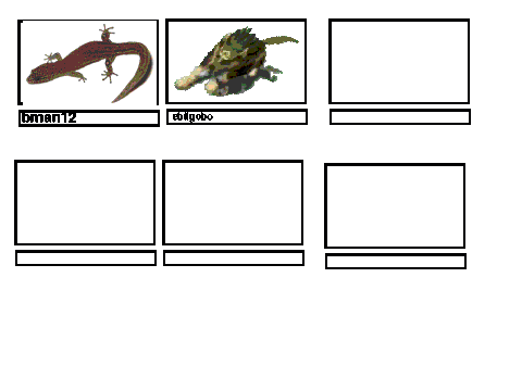Add an animal
