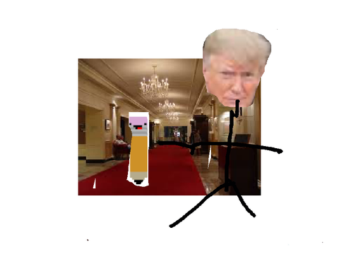 Trump at the whitehouse...