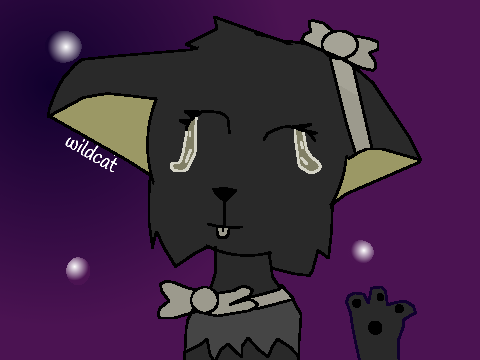 300+ DTIYS!! entry