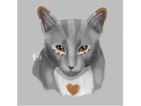 A Certain Cat + Open TFCRP Requests