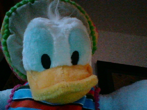 donald says hello