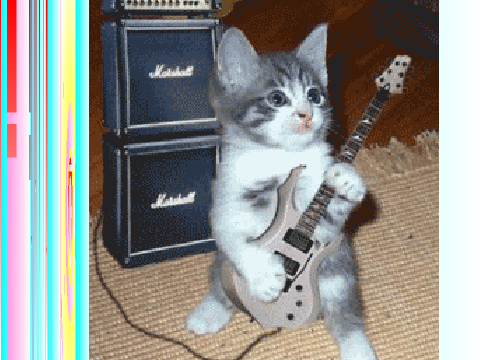 Cat animation playing guitair