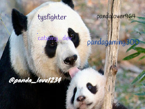 STOP PANDA POACHING!!!! remix