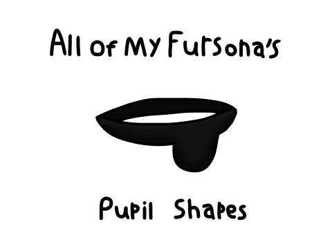 All of My Fursona's Pupil Shapes!