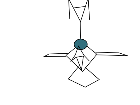 new species of bird