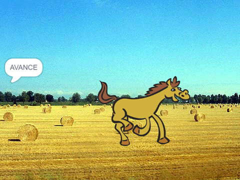 Pourquoi le cheval d’hercule est devenue fou ? 