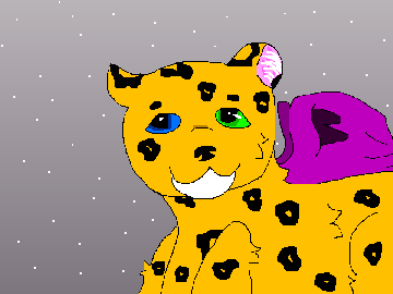 My Entry
