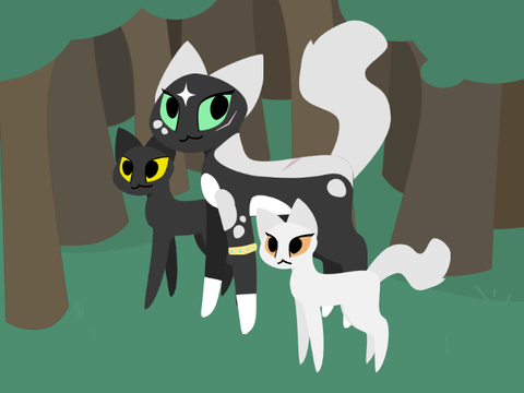 My Warrior Cat - Crescentstar