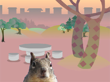 i am a squirrel