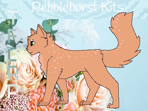 Pebbleburst kit redesign