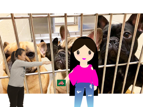 Add a sprite helping these dogs