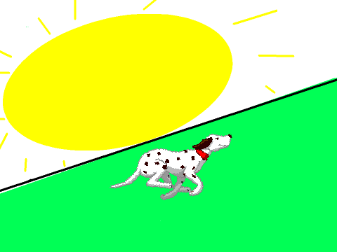 Dog running on the grass