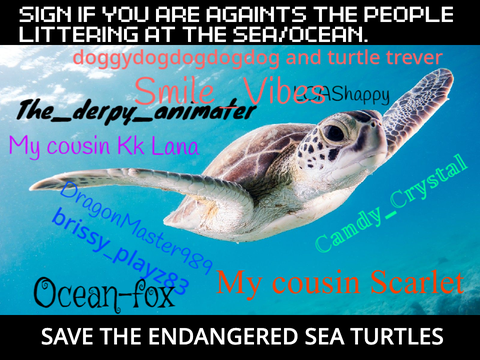 SAVE THE BAY! sign if you care for turtles remix remix